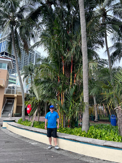 Cold Hardy Lipstick Palm; Hybrid Lipstick Palm (Cyrtostachys renda x elegans)